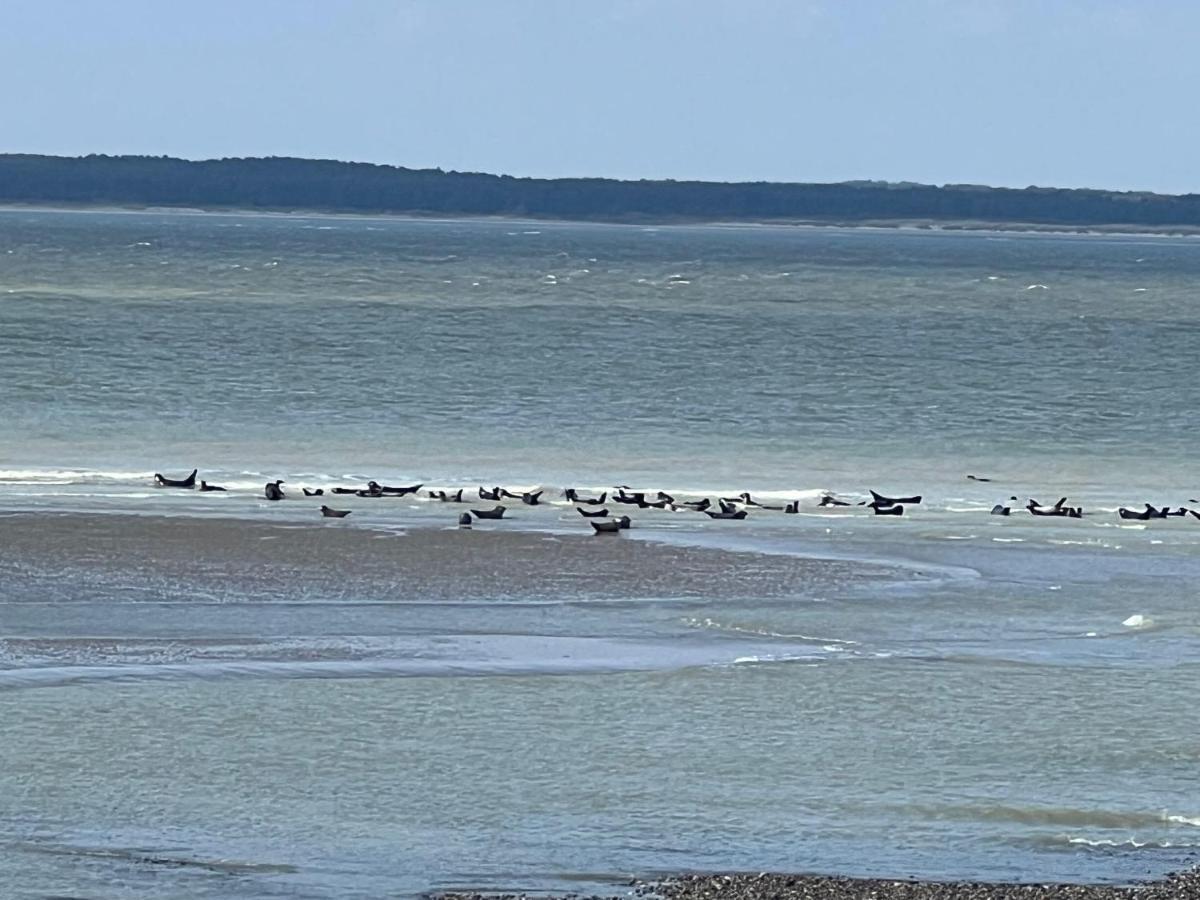 Plage A 50M Appartement Reves Etoiles Villa Les Bains De Mers エクステリア 写真