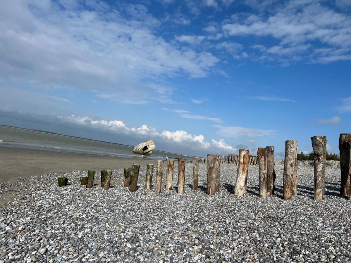 Plage A 50M Appartement Reves Etoiles Villa Les Bains De Mers エクステリア 写真